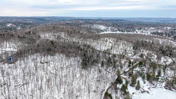 Ch. du Lac-des-Becs-Scie E., Saint-Sauveur — photo 15