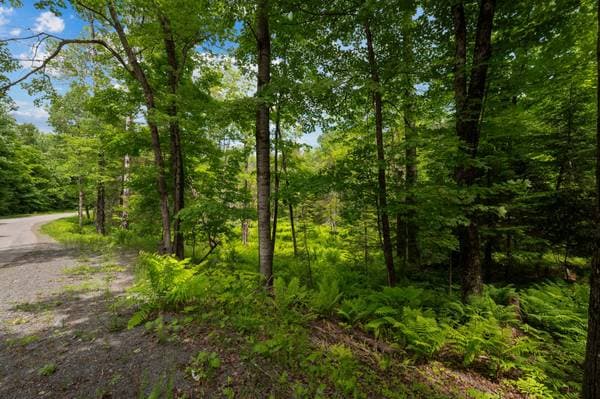 Ch. du Lac-des-Becs-Scie E., Saint-Sauveur — photo 7