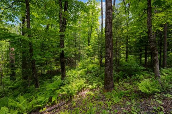 Ch. du Lac-des-Becs-Scie E., Saint-Sauveur — photo 8