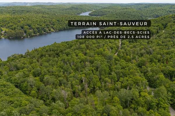 land — Ch. du Lac-des-Becs-Scie E., Saint-Sauveur