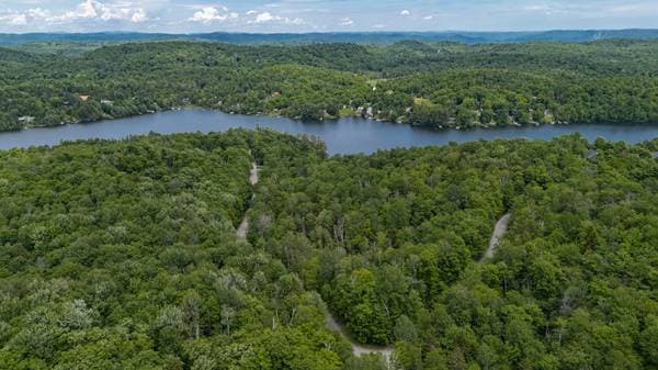 Ch. du Lac-des-Becs-Scie E., Saint-Sauveur — photo 3