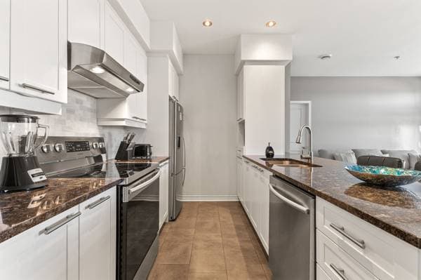 115 Rue de Bruxelles #302, Gatineau (Aylmer) — photo 5