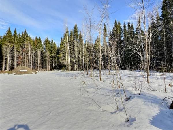 1337 Route Taché, Saint-Narcisse-de-Rimouski — photo 8
