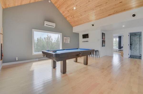 26 Ch. Pierre-Perreault, Petite-Rivière-Saint-François — photo 43