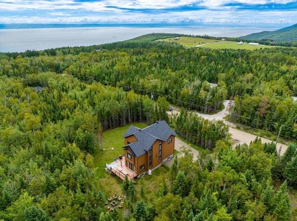 26 Ch. Pierre-Perreault, Petite-Rivière-Saint-François — photo 69