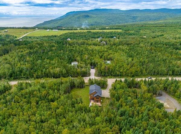 26 Ch. Pierre-Perreault, Petite-Rivière-Saint-François — photo 71