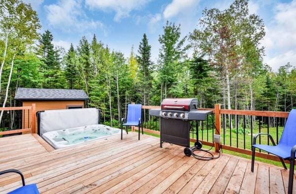 26 Ch. Pierre-Perreault, Petite-Rivière-Saint-François — photo 72