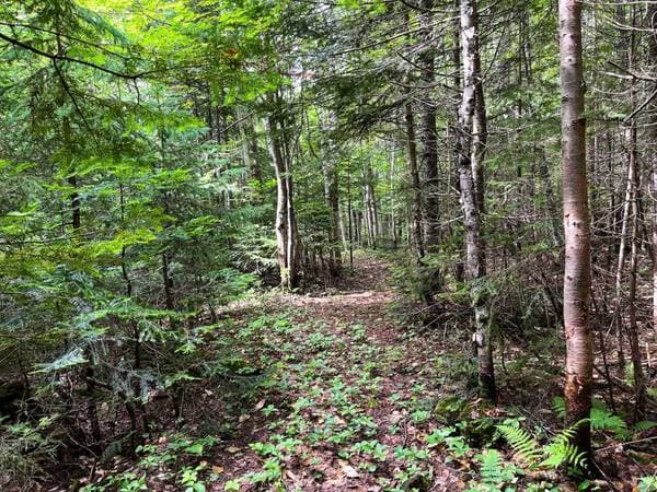 Ch. de St-Adolphe, Morin-Heights — photo 13