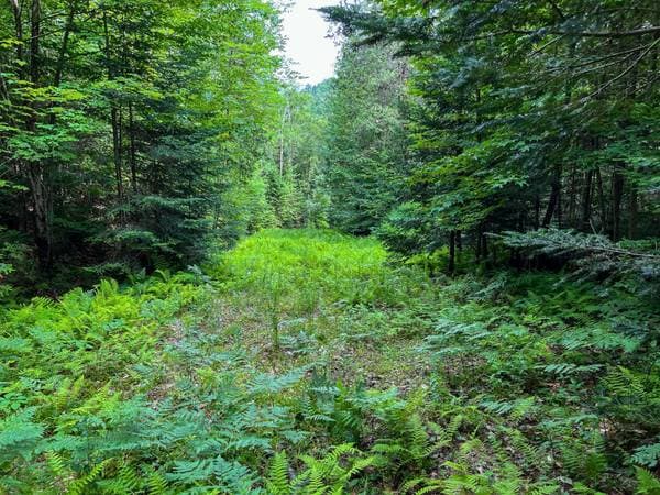 Ch. de St-Adolphe, Morin-Heights — photo 14