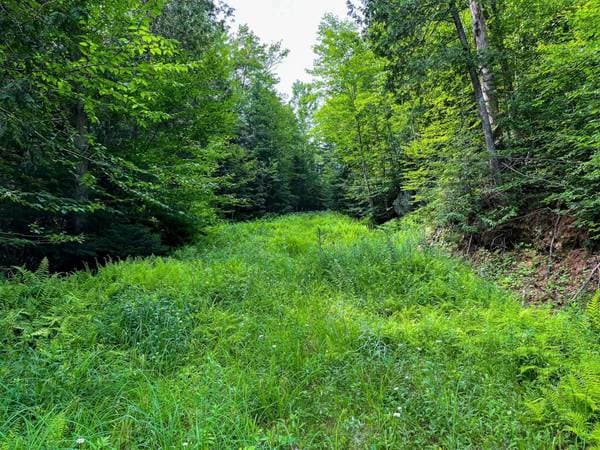Ch. de St-Adolphe, Morin-Heights — photo 15