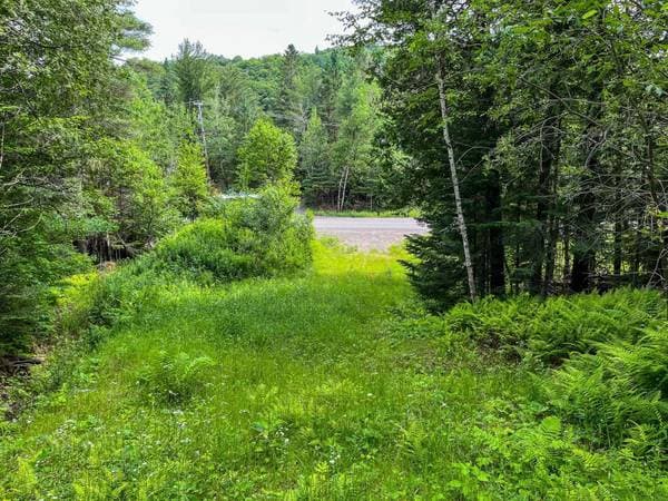 Ch. de St-Adolphe, Morin-Heights — photo 16