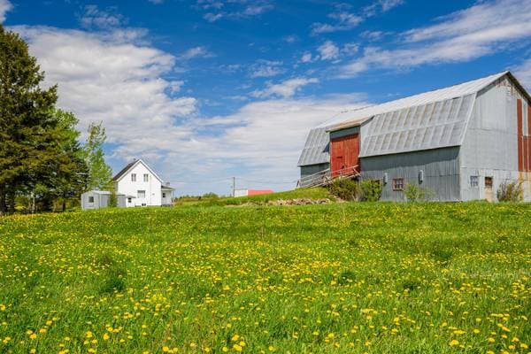 227 Rg Massé O., Saint-Gabriel-de-Rimouski — photo 61