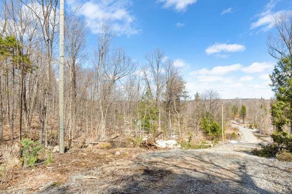 Rg Lac-à-Jos-Bob, Saint-Alexis-des-Monts — photo 2