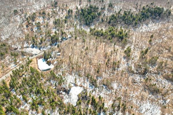 Rg Lac-à-Jos-Bob, Saint-Alexis-des-Monts — photo 12