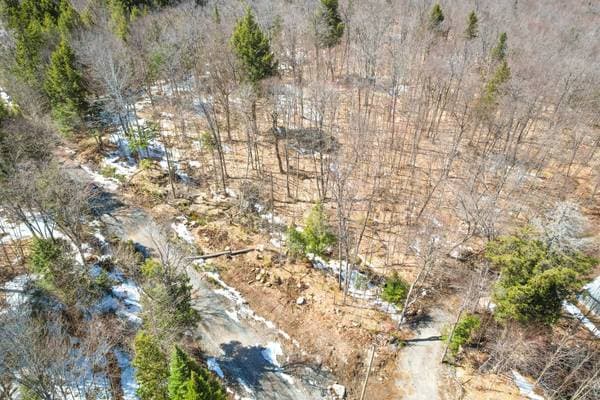 Rg Lac-à-Jos-Bob, Saint-Alexis-des-Monts — photo 14