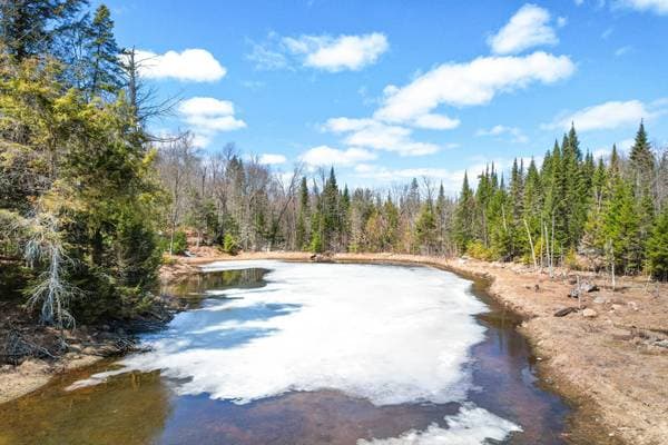 Rg Lac-à-Jos-Bob, Saint-Alexis-des-Monts — photo 3