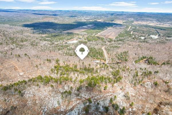Rg Lac-à-Jos-Bob, Saint-Alexis-des-Monts — photo 4