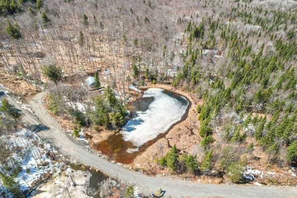 Rg Lac-à-Jos-Bob, Saint-Alexis-des-Monts — photo 6