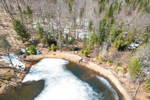 Rg Lac-à-Jos-Bob, Saint-Alexis-des-Monts — photo 7