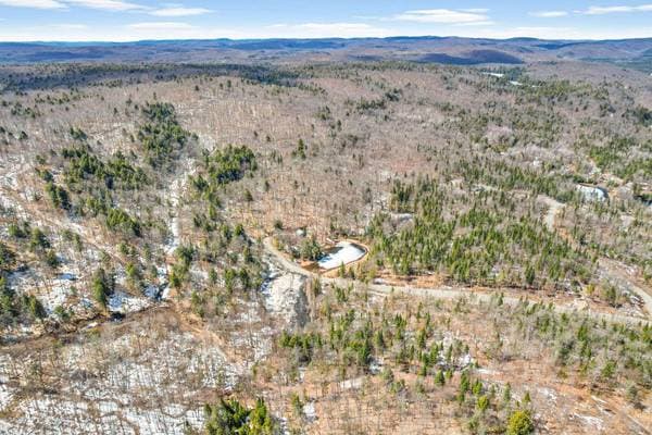 Rg Lac-à-Jos-Bob, Saint-Alexis-des-Monts — photo 8