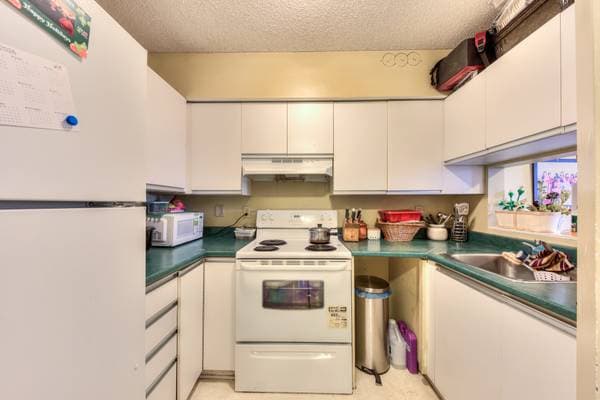 4700 Rue René-Émard #107, Montréal (Pierrefonds-Roxboro) — photo 6