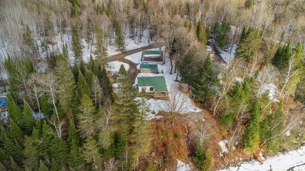 18 Ch. de la Rivière, Lac-du-Cerf — photo 36