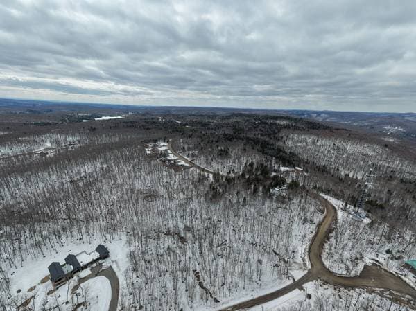 Ch. des Hauteurs, Morin-Heights — photo 10