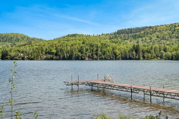 7 Ch. du Séjour, Val-des-Monts — photo 25