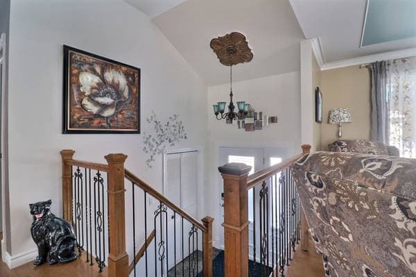 109 Rue Hubert-Gagnon, Rimouski — photo 7