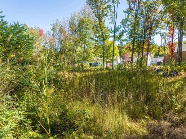 Rue des Bécassines, Bécancour — photo 10