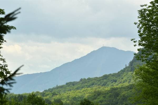 303 Ch. de Vale Perkins, Potton — photo 9