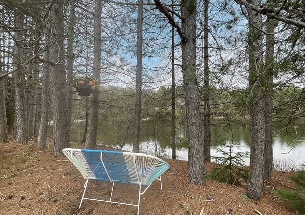 600 Allée de la Sérénité, Mont-Tremblant — photo 19