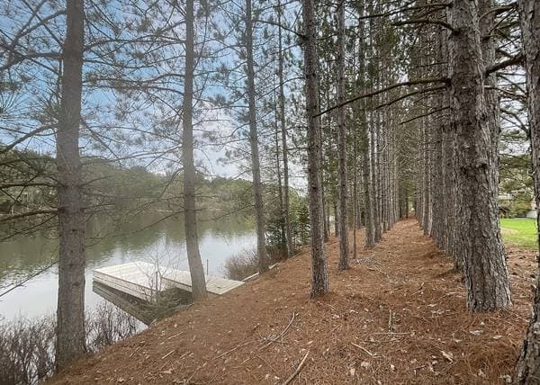 600 Allée de la Sérénité, Mont-Tremblant — photo 20