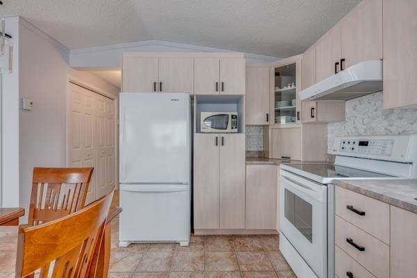 19 Rue du Domaine #31, Magog — photo 10