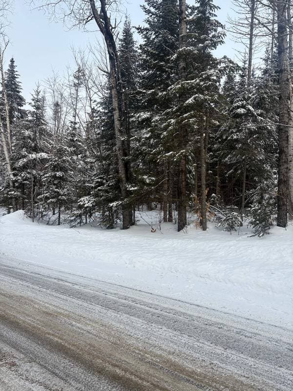 Ch. du Lac-Équerre, Lac-Supérieur — photo 2