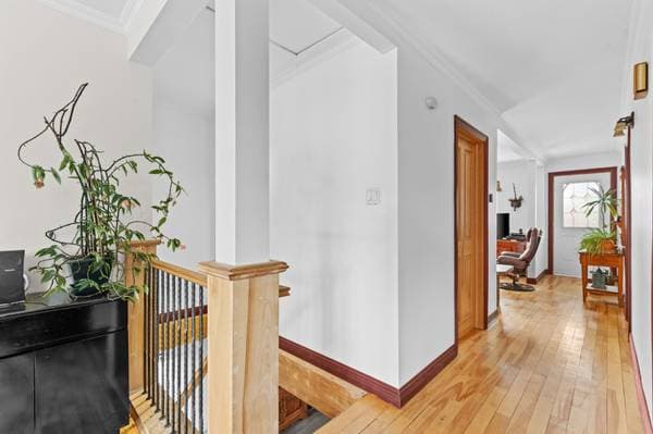 28 Crois. Barabé, Montréal (L'Île-Bizard/Sainte-Geneviève) — photo 21