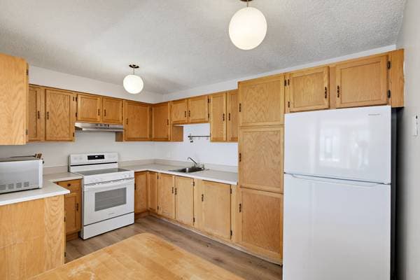 3470 Rue Durocher #501, Montréal (le Plateau-Mont-Royal) — photo 9