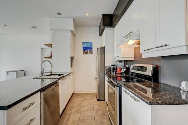 115 Rue de Bruxelles #203, Gatineau (Aylmer) — photo 5