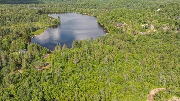24 Rue des Moineaux, Sainte-Marguerite-du-Lac-Masson — photo 7