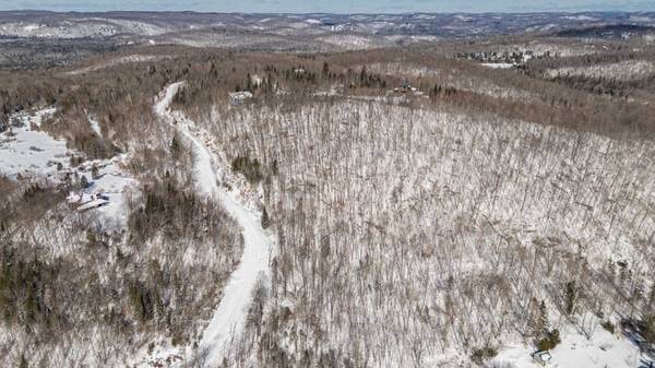 Ch. du Mont-Bois-Vert, Saint-Sauveur — photo 12