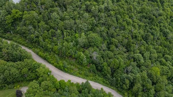Ch. du Mont-Bois-Vert, Saint-Sauveur — photo 4