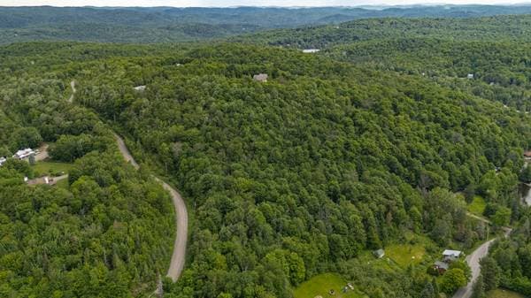 Ch. du Mont-Bois-Vert, Saint-Sauveur — photo 5