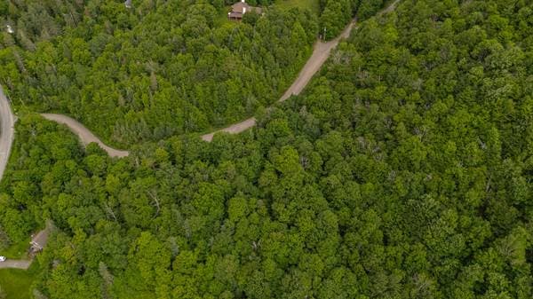 Ch. du Mont-Bois-Vert, Saint-Sauveur — photo 6