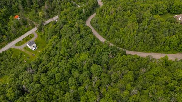 Ch. du Mont-Bois-Vert, Saint-Sauveur — photo 7