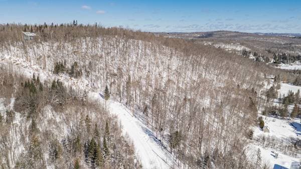 Ch. du Mont-Bois-Vert, Saint-Sauveur — photo 9