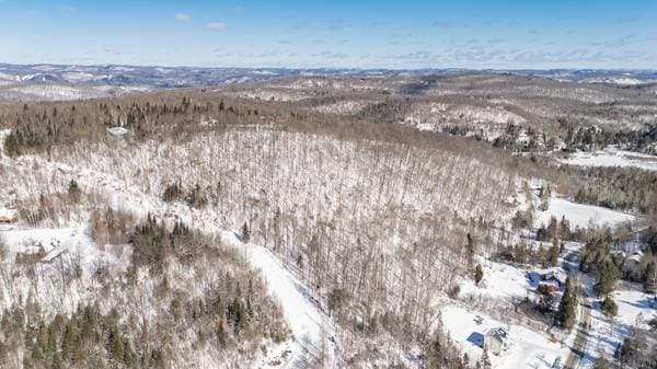 Ch. du Mont-Bois-Vert, Saint-Sauveur — photo 10