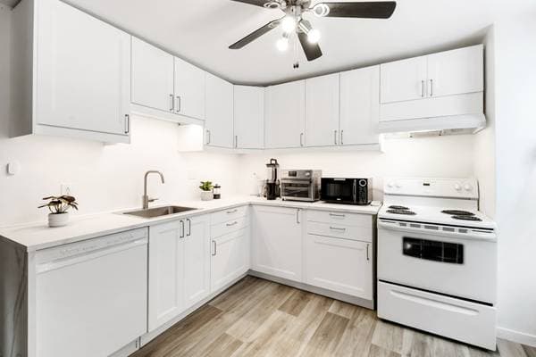 6210 -6220 24e Avenue, Montréal (Rosemont/la Petite-Patrie) — photo 19