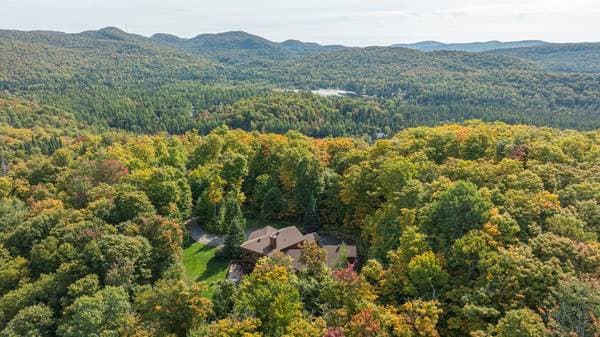 35 Ch. du Chevreuil, Lac-Supérieur — photo 55