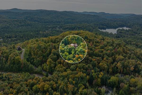 35 Ch. du Chevreuil, Lac-Supérieur — photo 58