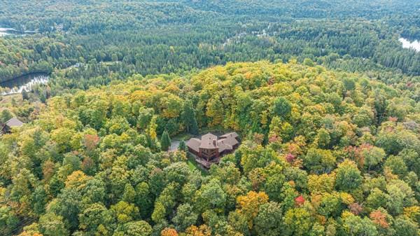 35 Ch. du Chevreuil, Lac-Supérieur — photo 60
